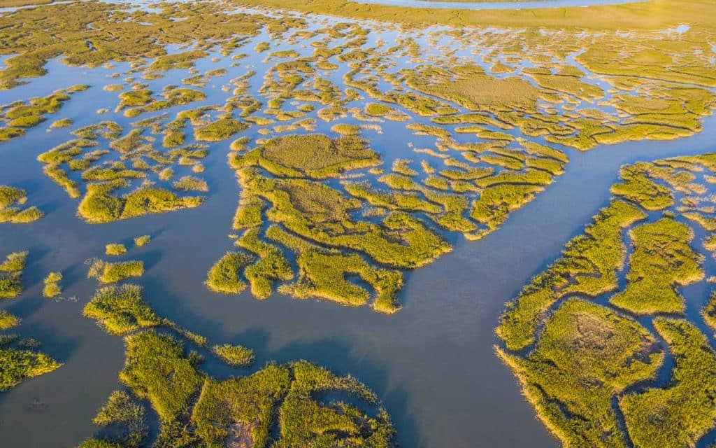 Overhead shot of tidal marsh 