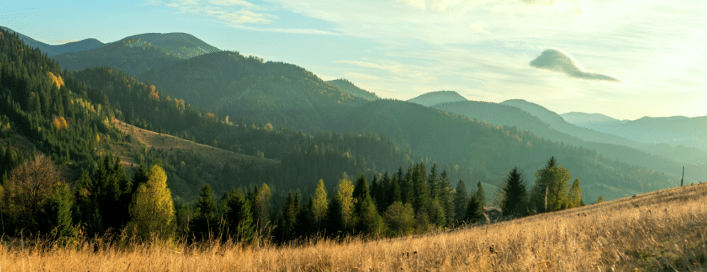 Mountain landscape