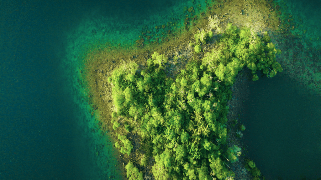Aerial View of Islet