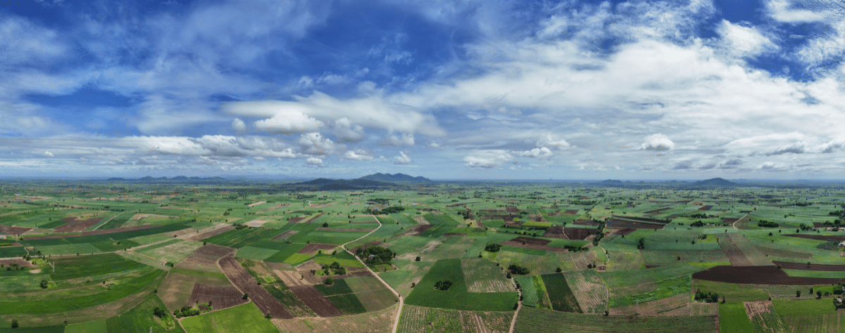 Aerial view of fields and farm land