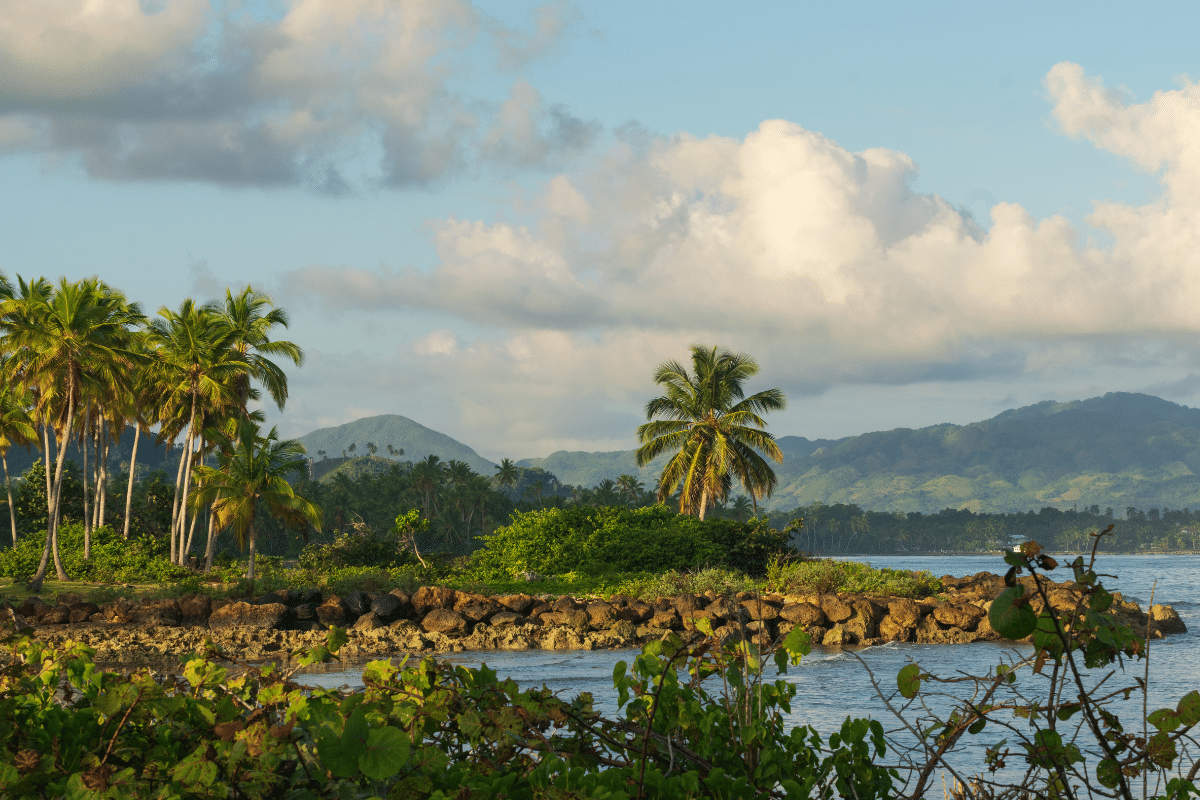 Tropical landscape